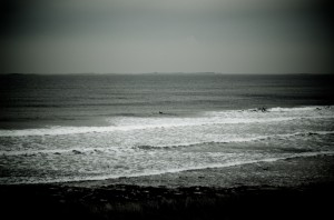 DSC_5300 DSC_5300