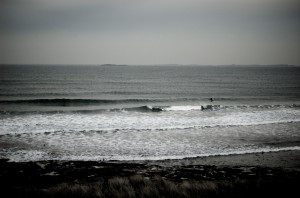 DSC_5301 DSC_5301