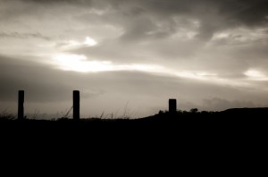 DSC_5302 DSC_5302