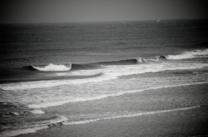 DSC_5307 DSC_5307