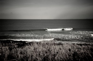 DSC_5348 DSC_5348