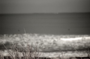 DSC_5368