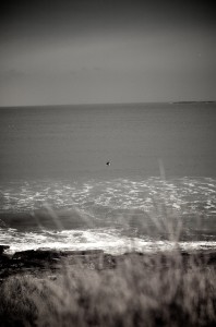 DSC_5369 DSC_5369