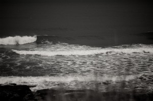 DSC_5376 DSC_5376