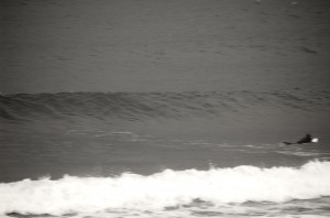 DSC_5382 DSC_5382