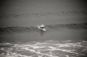 DSC_5388 DSC_5388