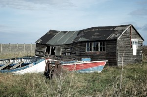 DSC_5243 DSC_5243