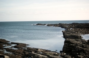 DSC_5247 DSC_5247