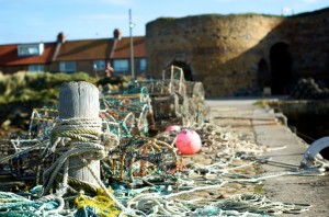 DSC_5254 DSC_5254