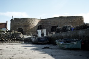 DSC_5256 DSC_5256