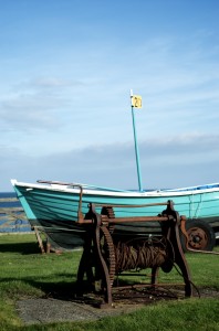 DSC_5264 DSC_5264