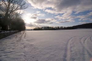 DSC_6139 DSC_6139