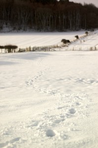 DSC_6163 DSC_6163