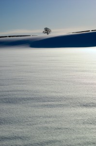 DSC_6230 DSC_6230