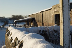 DSC_6237 DSC_6237