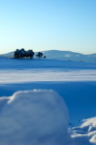DSC_6299 DSC_6299