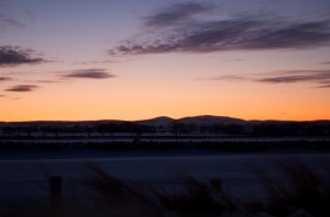 DSC_6323