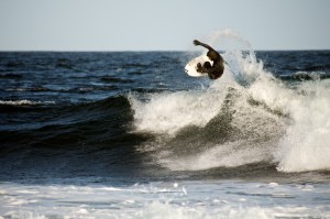 DSC_0531 DSC_0531