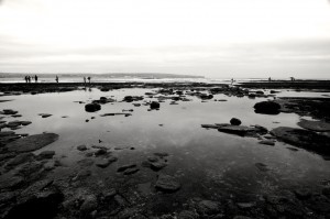 DSC_0841 DSC_0841