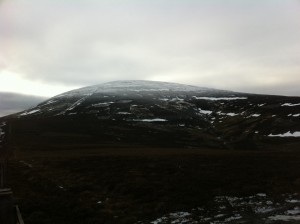 IMG_0150 IMG_0150